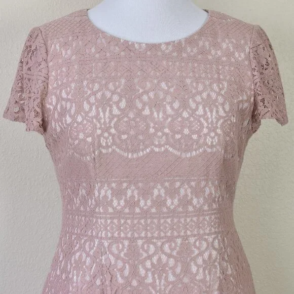Adrianna Papell Lace Overlay Cap Sleeve Dress - Picture 2 of 8
